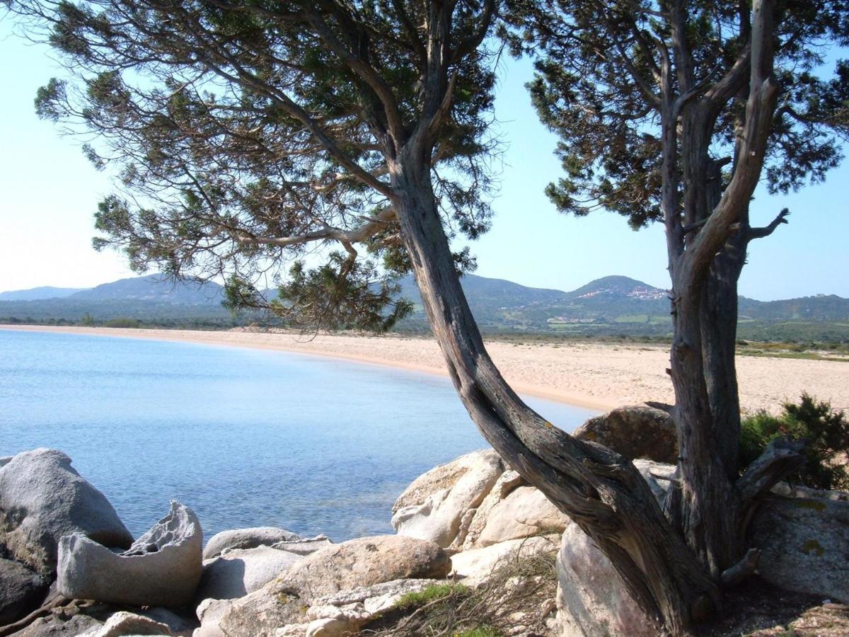 Апартаменти La Residenza Poseidone Санта-Тереза-Галлура Екстер'єр фото